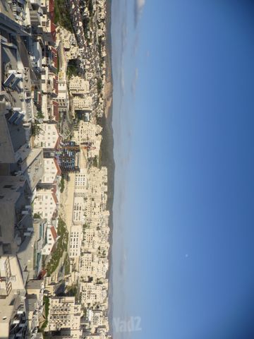 יונה בן אמיתי 18