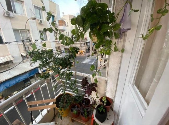 Tel Aviv-Yafo, Israel 4