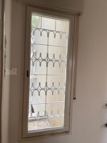 הצלפים 13