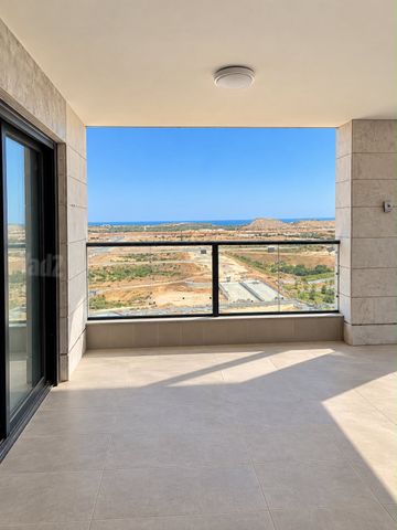 מגרשים, ראשון לציון