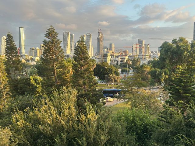 כוכב הצפון