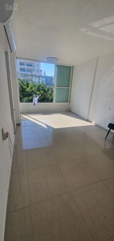 יהושע חנקין 