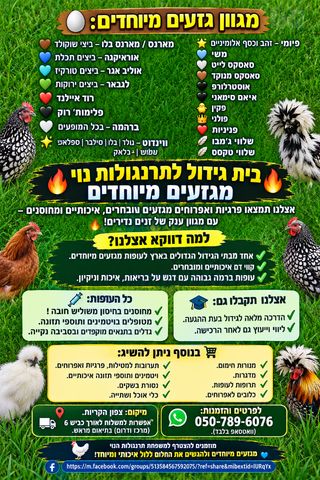 תמונת מודעה - חיות מחמד