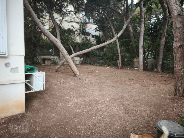 Haifa, Israel 6