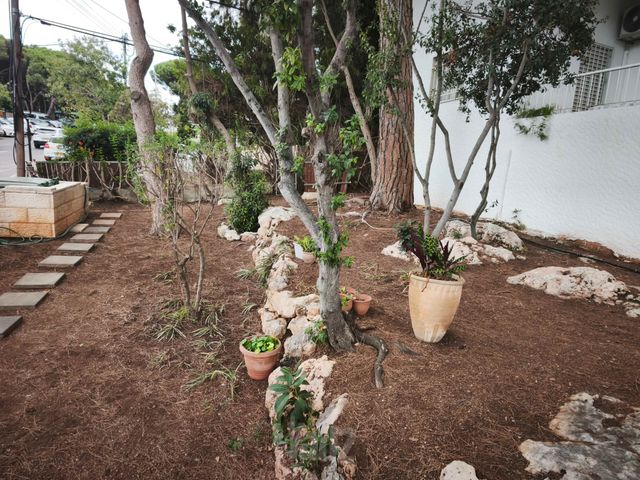 Haifa, Israel 5
