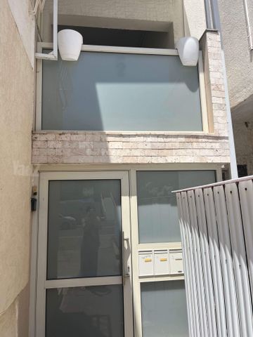 הארזים 7