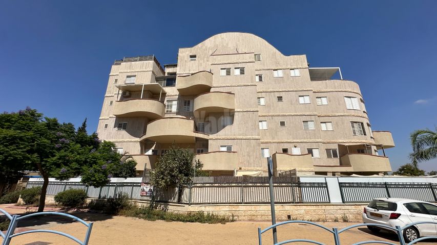 פרופסור אברהם אמיר 