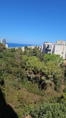 בודנהיימר 11