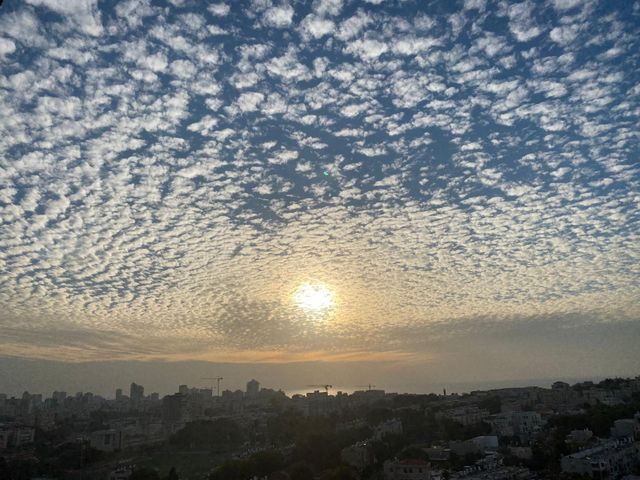 Tel Aviv-Yafo, Israel 12