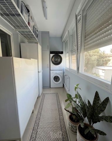 המלך שאול 