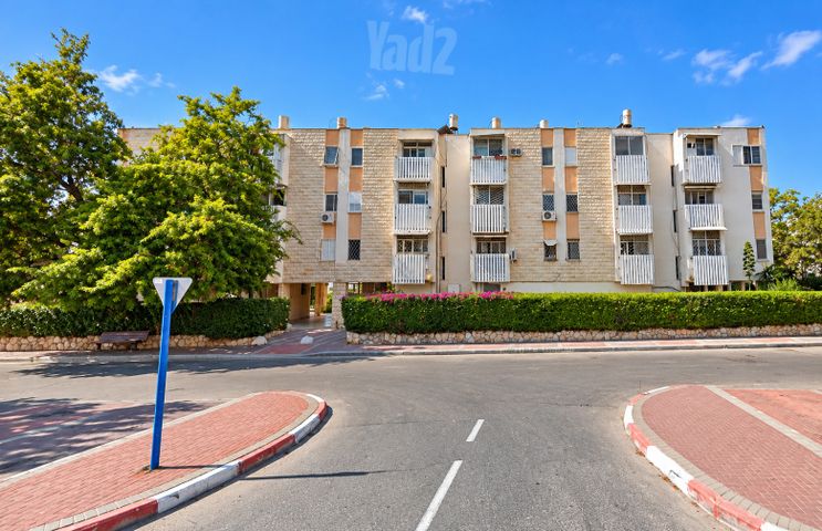 לכיש 36