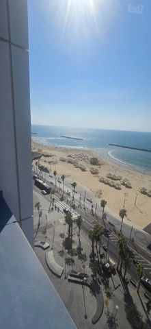 לב תל אביב, לב העיר צפון
