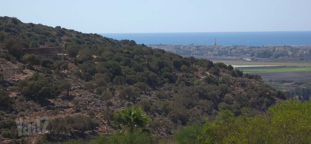ספיר 39