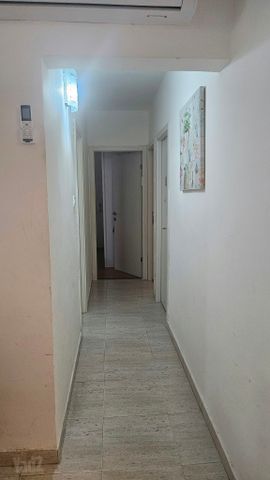 כינרת 41