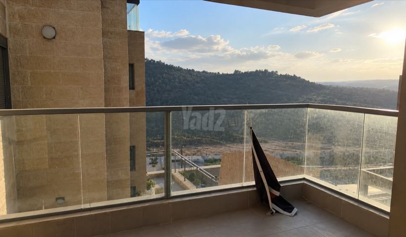 אבנר חי שאקי 