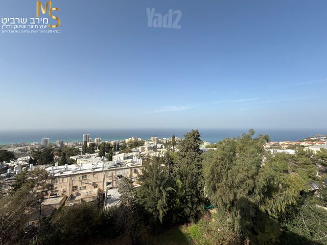 כרמל צרפתי