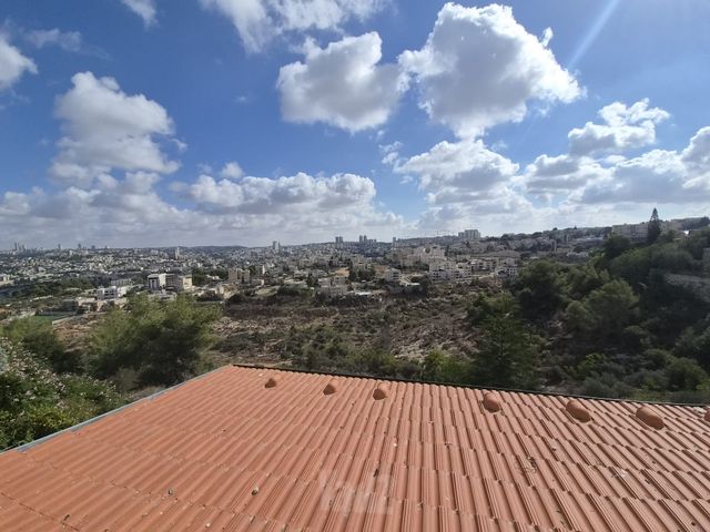 יצהר 