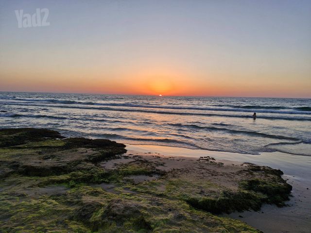 יוניצמן 2