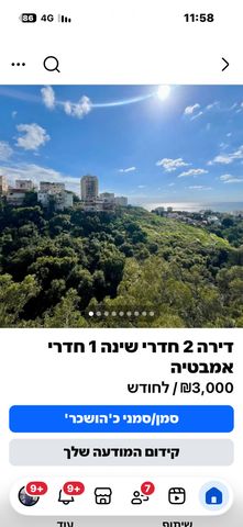 דוד בר רב האי 62