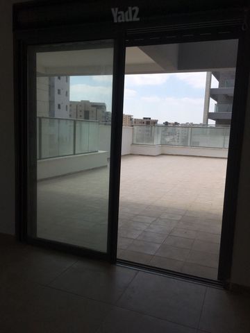 גפן 48