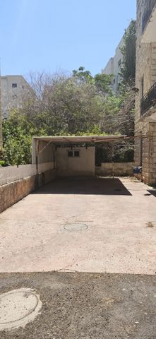 לוחמי הגטאות 
