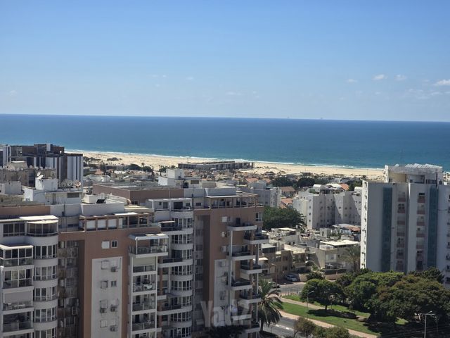 כינור 