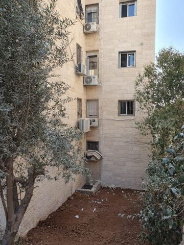 הרב ש. שאולזון 42