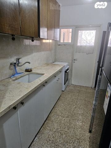 דוד אלעזר 213