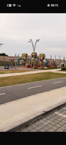 כרם 11
