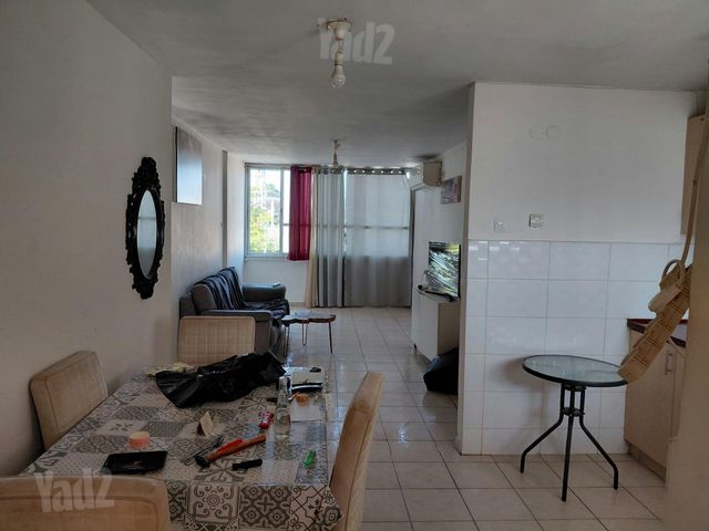 דוד רזיאל 6