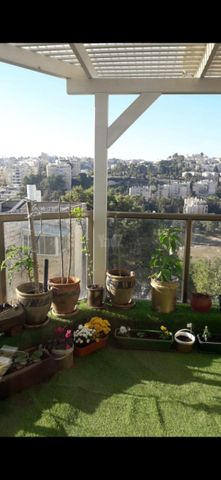 שלמה בן יוסף 13