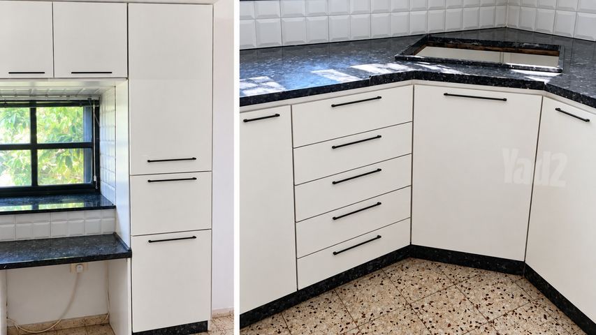 הזית 1
