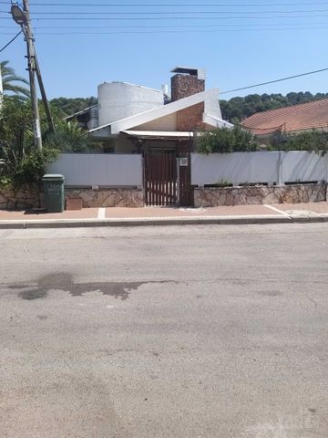 שקנאי 19