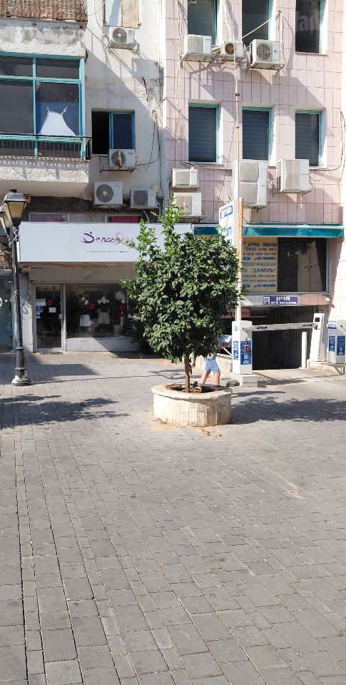 ההגנה 5