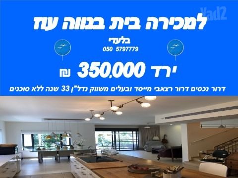 אלכסנדר זייד 34