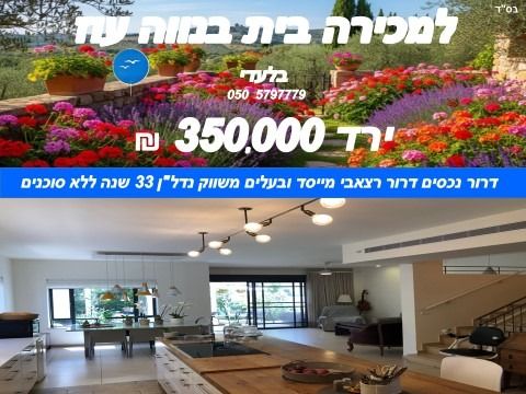 משה דוד מייזנר 51