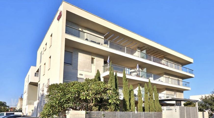 צפת 