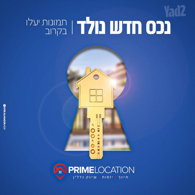 יהודה בורלא 