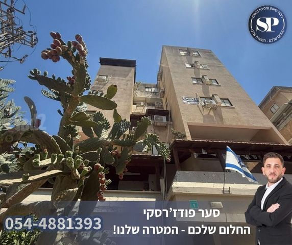 הולנד 