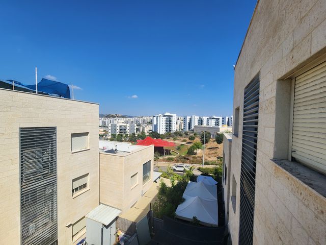 גפן 