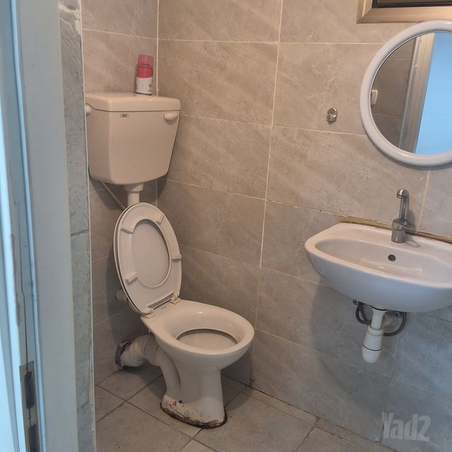הרימון 1