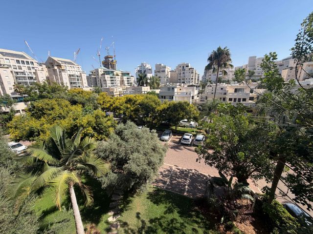בוני העיר 