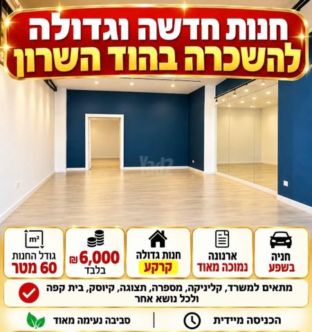 חנויות/ שטח מסחרי