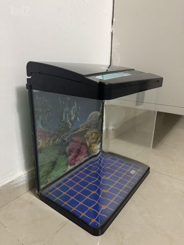 תמונת מודעה - חיות מחמד