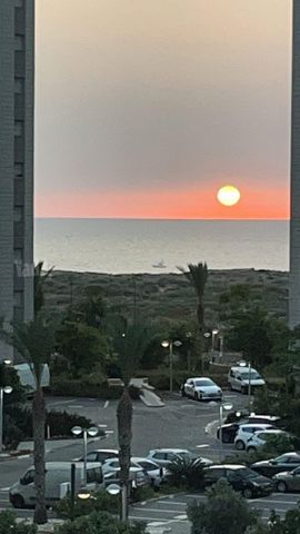 אריק לביא 14