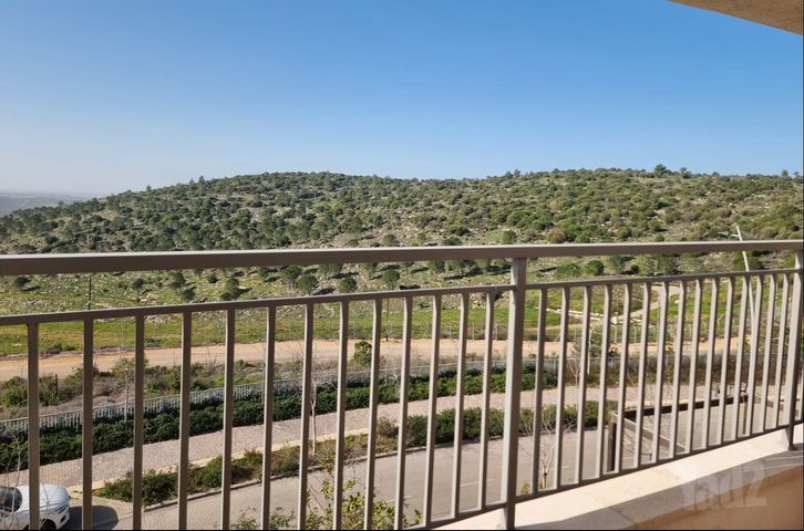 עגור 12