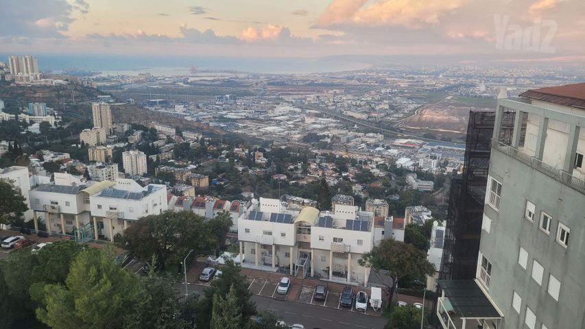 התפוז 33