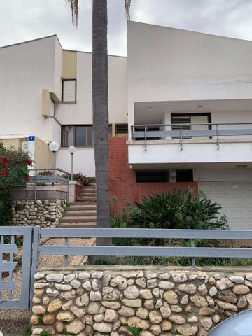 התבור 5