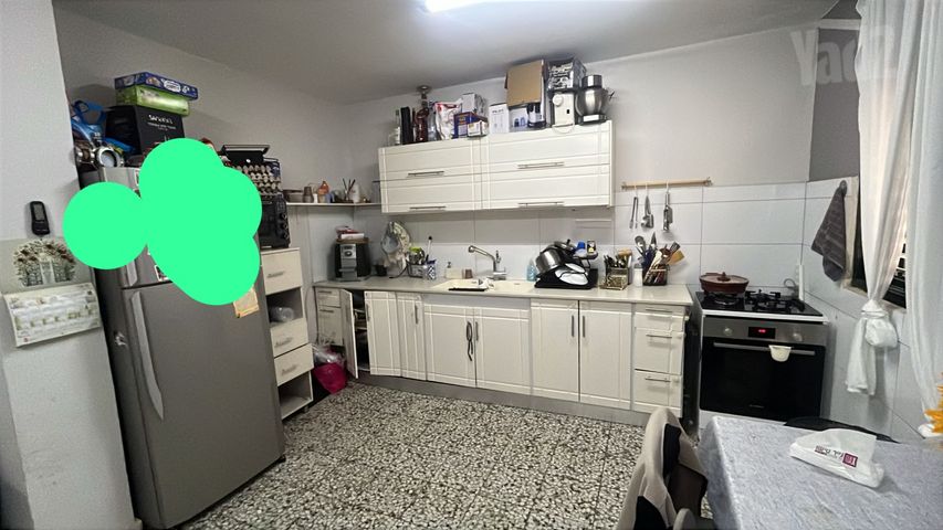 הדקל 6
