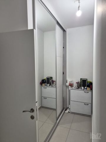 יערות ישראל 18
